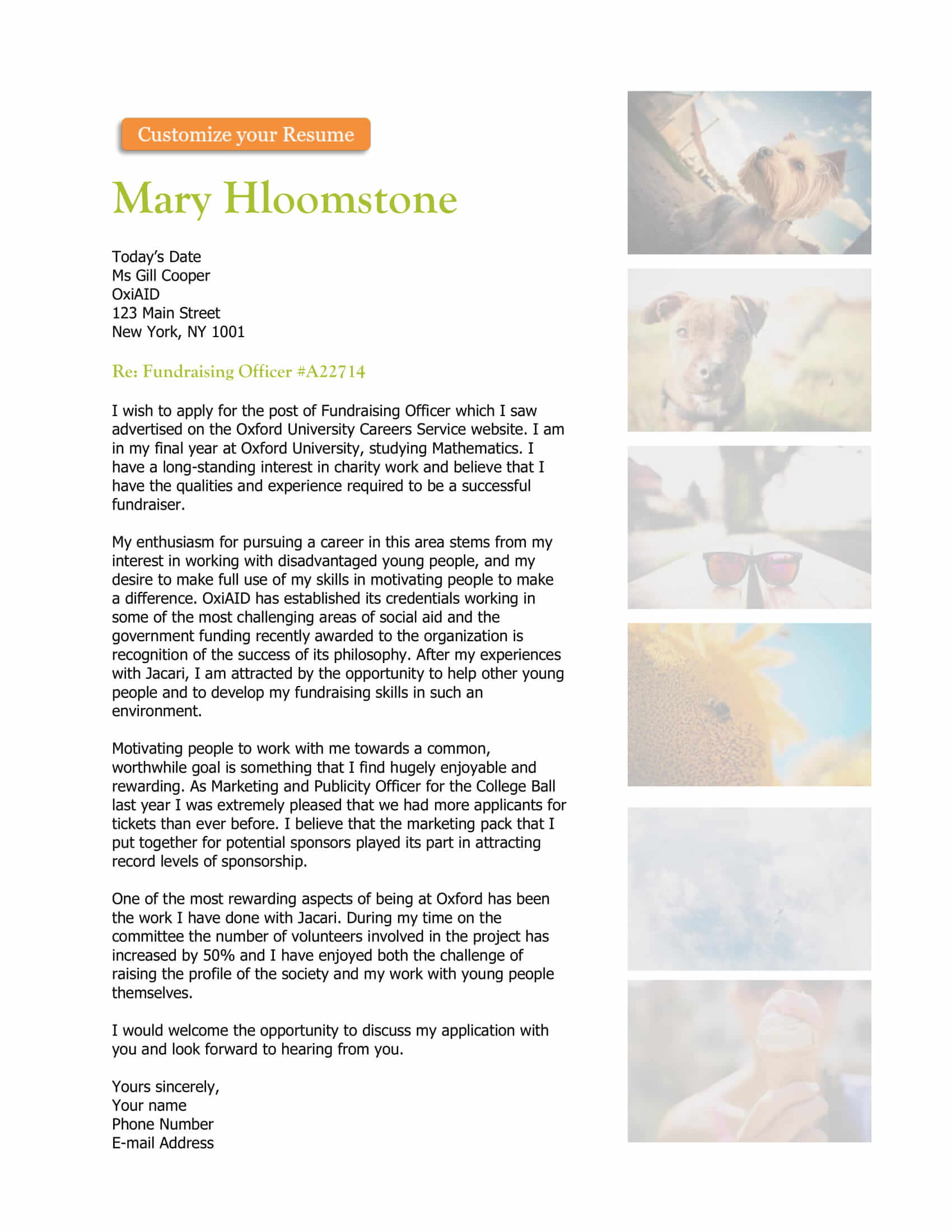 Striscia di pellicola Striscia di pellicola